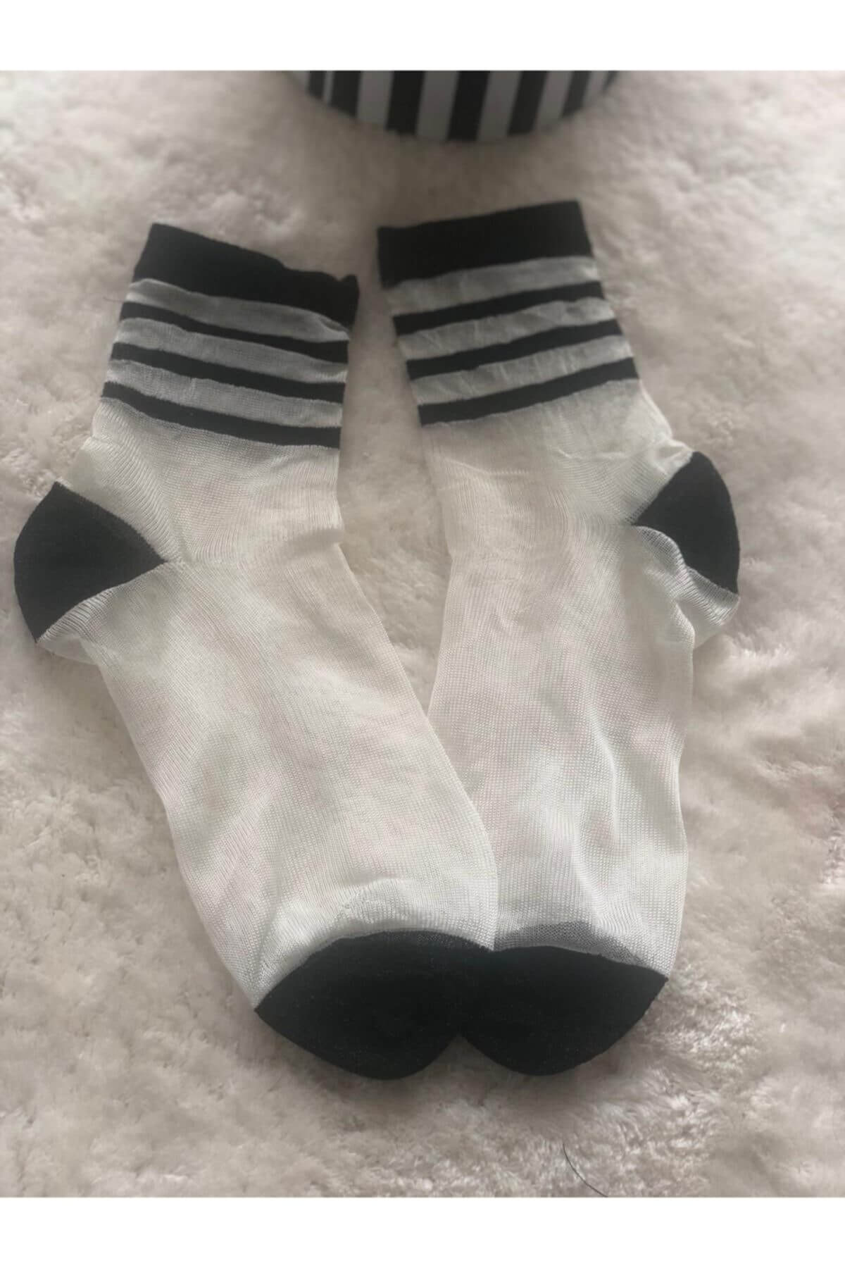 Striped lace socks for women, featuring a combination of bold stripes and feminine lace accents for a stylish statement.
