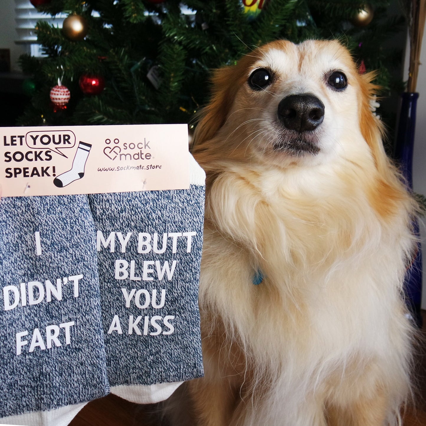 I didn't fart My Butt Blew You A Kiss Socks, Funny Socks, Silly Gift for Family,  Gag Gifts, Joke Gifts, Christmas Gifts For Family