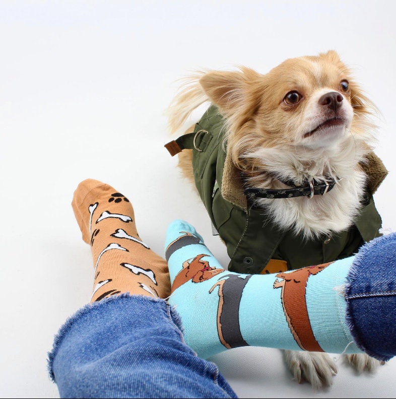 Hot Dog Dachshund Mismatched Socks, Funny Dog Socks, Mismatched Socks,  Dog Dad,Dog Mother Socks, Matched Couple Socks, Gift For Couple