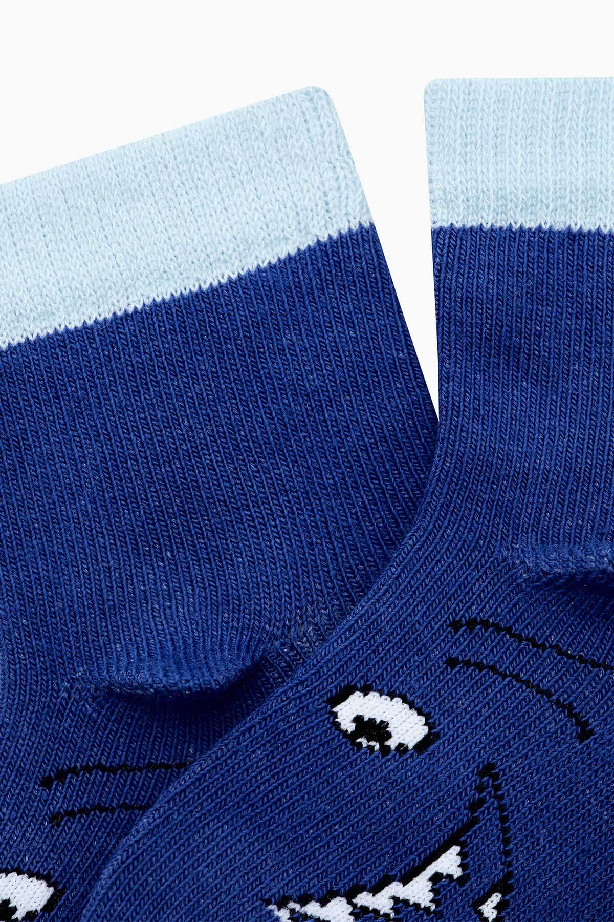 3D Baby Shark Socks - Blue