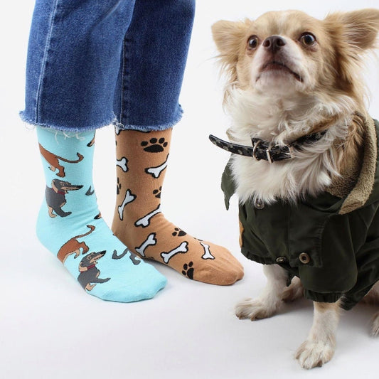 Hot Dog Dachshund Mismatched Socks, Funny Dog Socks, Mismatched Socks,  Dog Dad,Dog Mother Socks, Matched Couple Socks, Gift For Couple