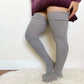Women's Plus Size Gray Over Knee Socks - Sockmate